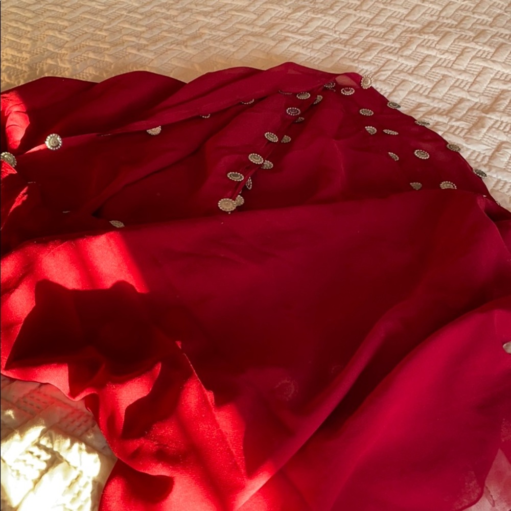 Belly dancer veil